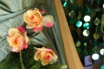 /uploads/thumb/thumb_20110223151627.jpg
