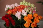 /uploads/thumb/thumb_20110311181206.jpg