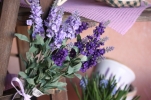 /uploads/thumb/thumb_20110322180302.jpg