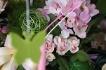 /uploads/thumb/thumb_20110322180359.jpg