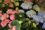 /uploads/thumb/thumb_20110503181651.jpg