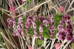 /uploads/thumb/thumb_20110503181757.jpg