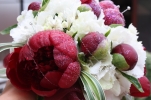 /uploads/thumb/thumb_20110526111538.jpg