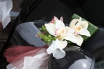 /uploads/thumb/thumb_20110526111643.jpg